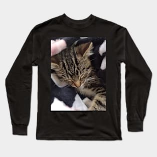 Kitten t-shirt Long Sleeve T-Shirt